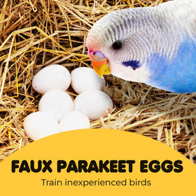 SunGrow durable plastic eggs stay intact after gentle drops.