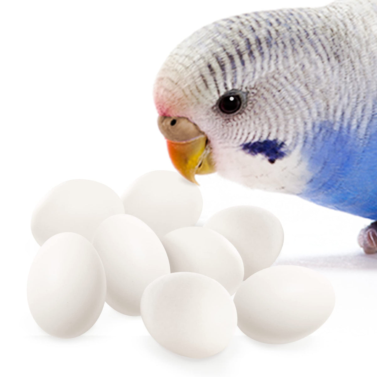 SunGrow fake wooden eggs for nest training in white, eight-pack.