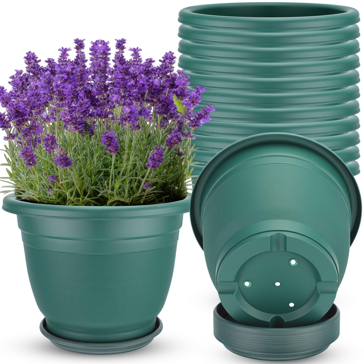 Sunnychicc 12-inch round pot with saucer in green, ideal for indoor plants.