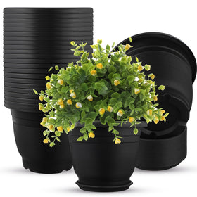 Sunnychicc 12-pack round plant pots with saucers for indoor herb gardens.