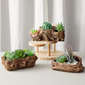 Sunnychicc DIY-friendly planter invites creative arrangements and personalized decor.