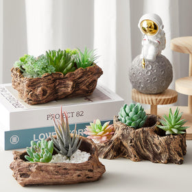 Sunnychicc driftwood planter available in three sizes for varied displays.