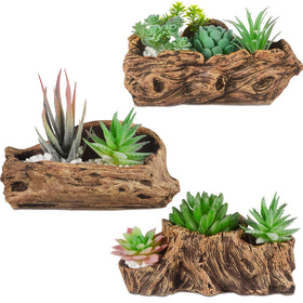 Sunnychicc driftwood stump planter set enhances indoor spaces with rustic texture.