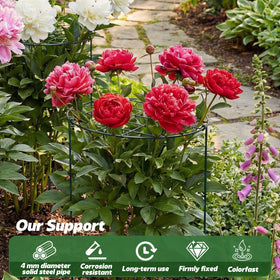 Sunnychicc four-pack plant support cages provide reliable structure for multiple plants