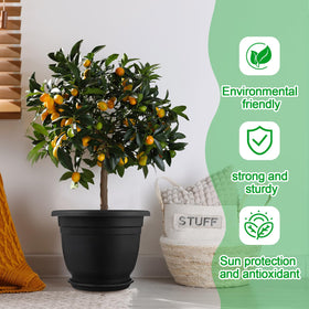 Sunnychicc round planter pot, 12 inch diameter, spacious for flowers and herbs.
