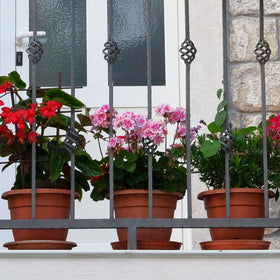 Sunnychicc round plant pots with saucer enhance home garden aesthetics.