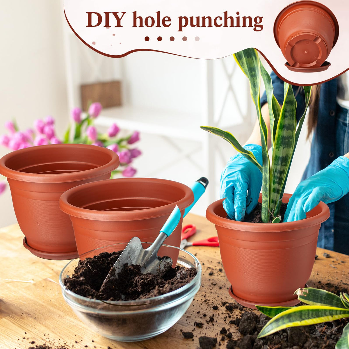 Sunnychicc seedling pots with pallet option for nursery setups.