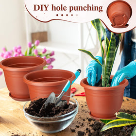 Sunnychicc seedling pots with pallet option for nursery setups.