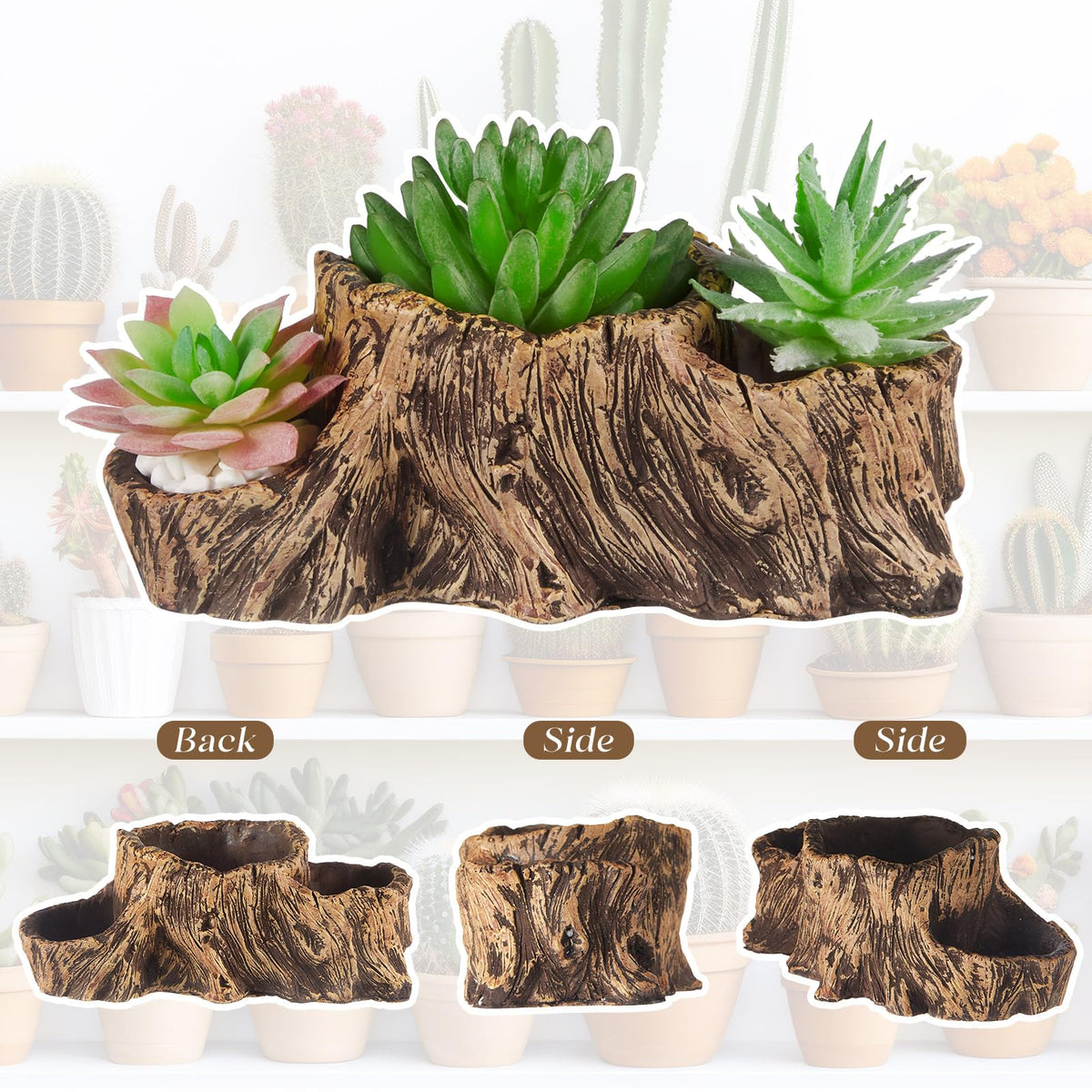 Sunnychicc succulent planter with drainage holes supports proper watering management.