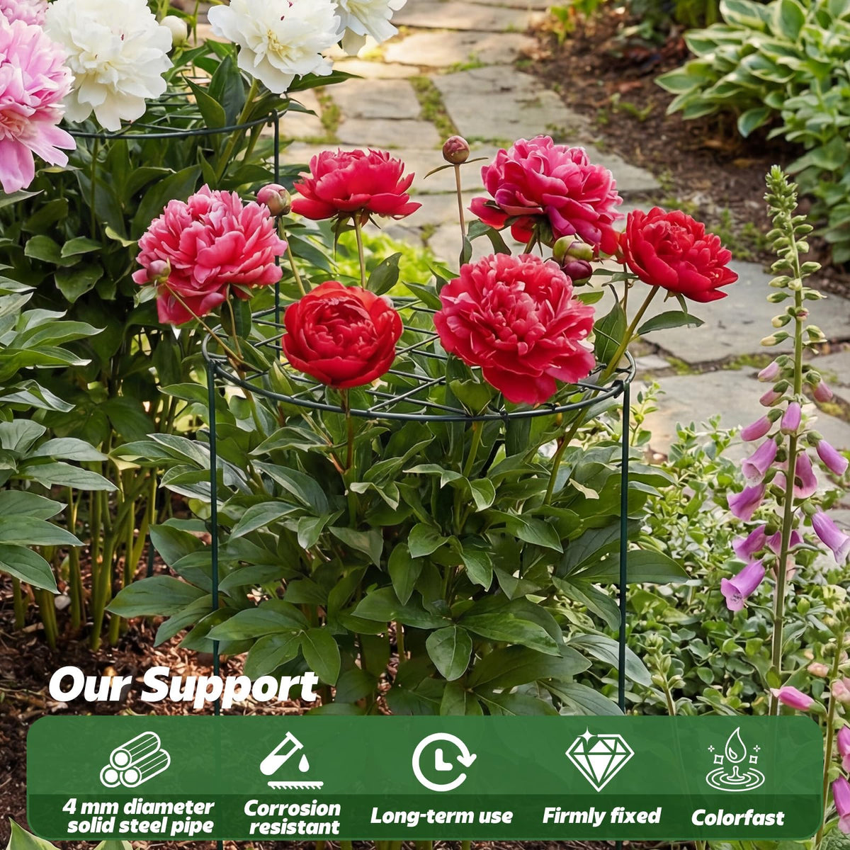 Sunnychicc vertical-growth support keeps vines and shrubs tidy and upright.