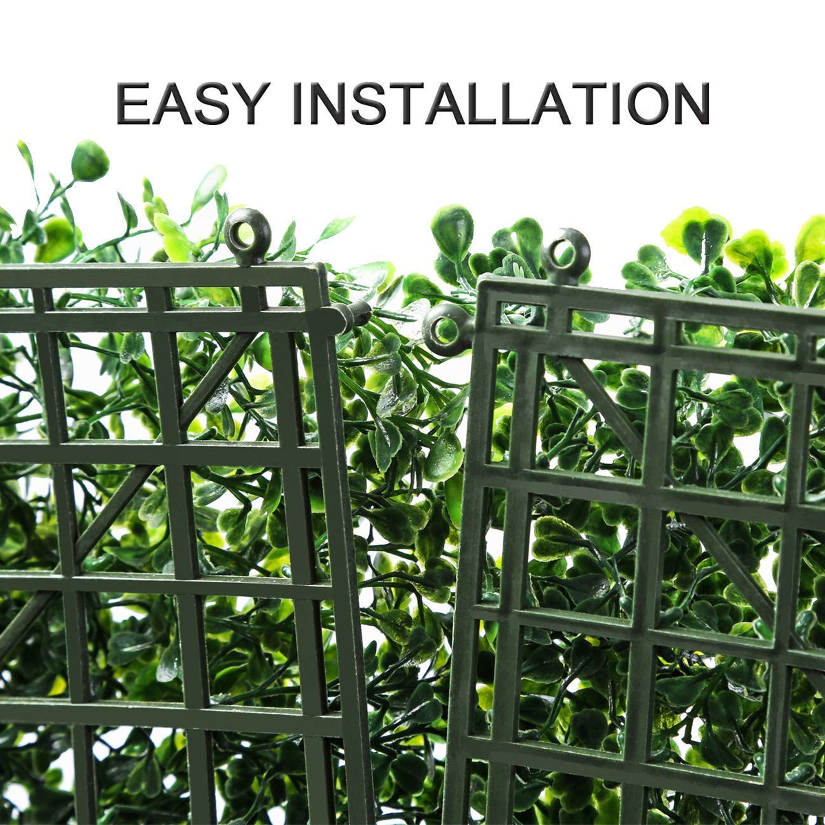 Sunnyglade boxwood panel enhances fence transformation with lush hedge look