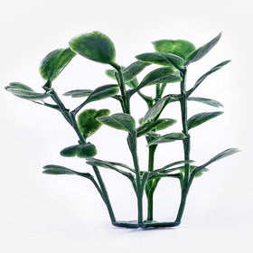 Sunnyglade boxwood panel provides sun protection and fade resistance