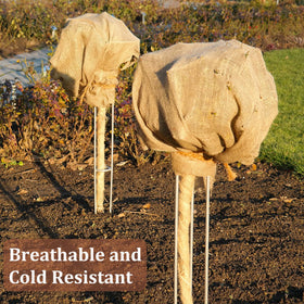 Sunnyglade burlap ground cover helps suppress weeds and protect seeds.
