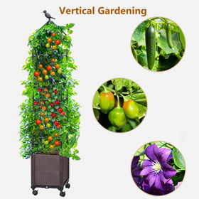 Sunnyglade outdoor garden bed with trellis for year round planting