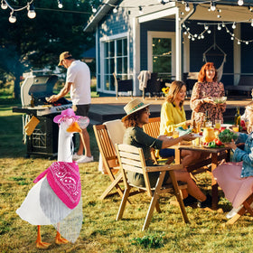 Sunnymove easy setup lets you dress up geese in minutes.