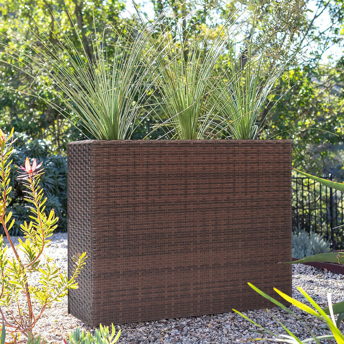 SUNNYPARK 38-inch planter dimensions provide tall plant growth and easy viewing.