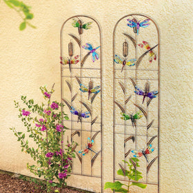 SUNNYPARK dragonfly trellis ideal for supporting vines.