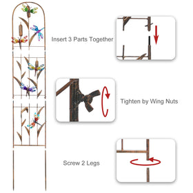 SUNNYPARK dragonfly trellis ornate curves elevate garden decor.