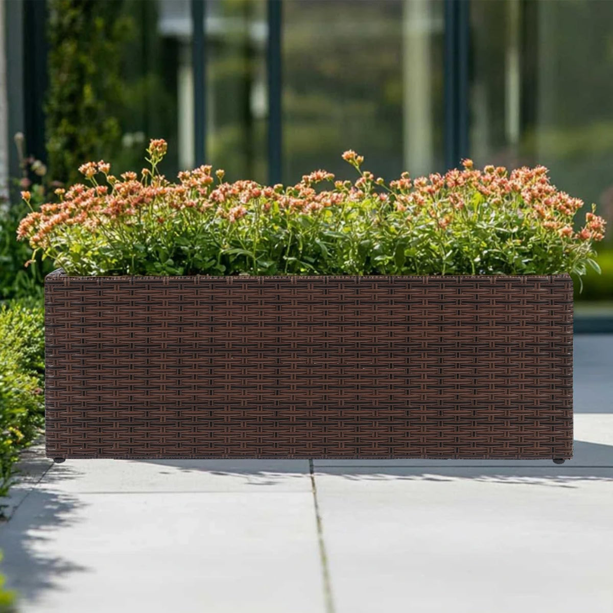 SUNNYPARK large-capacity planter provides ample soil for healthy growth.