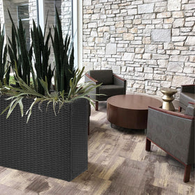 SUNNYPARK tall planter in living room corner for stylish greenery.