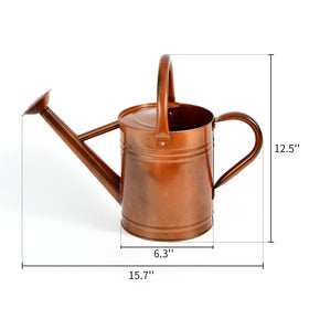 SunnyTong decorative metal watering can displayed as garden decor.