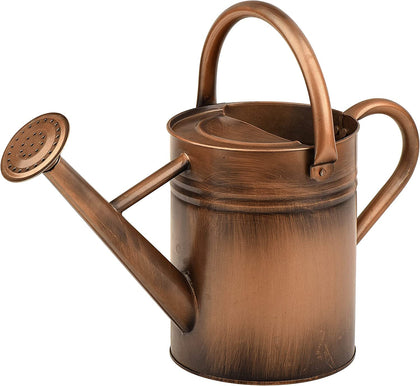SunnyTong metal watering can for outdoor plants shown in full view.