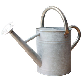 SunnyTong metal watering can for indoor and outdoor plants, 1 gallon capacity and versatile decor.