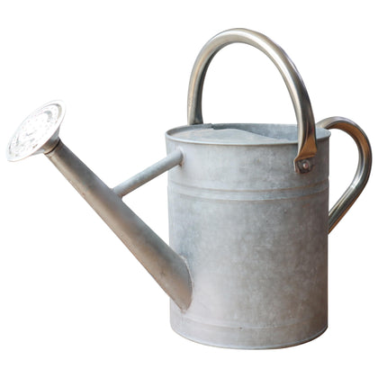 SunnyTong metal watering can for indoor and outdoor plants, 1 gallon capacity and versatile decor.