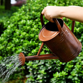 Close-up of SunnyTong metal watering can with removable spout.