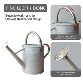 SunnyTong watering can with removable spout for precise watering.