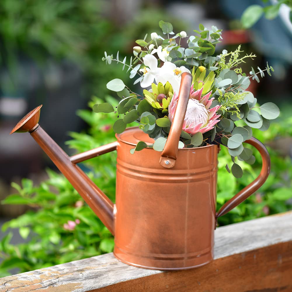 SunnyTong watering can demonstrating two-handled pouring design.