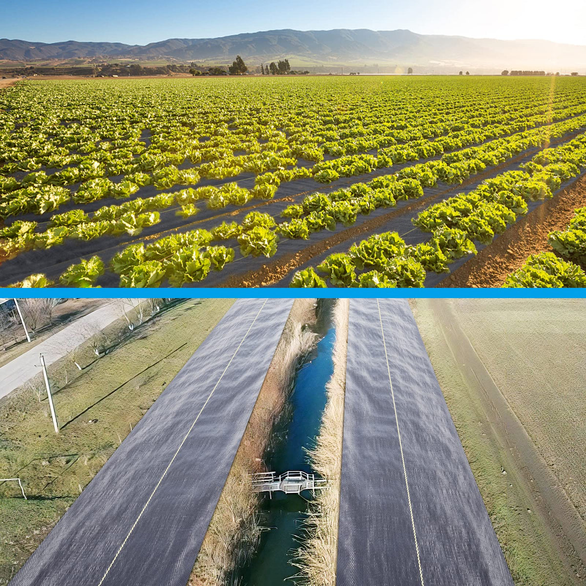 Sunocity erosion control and soil moisture retention benefits in beds.