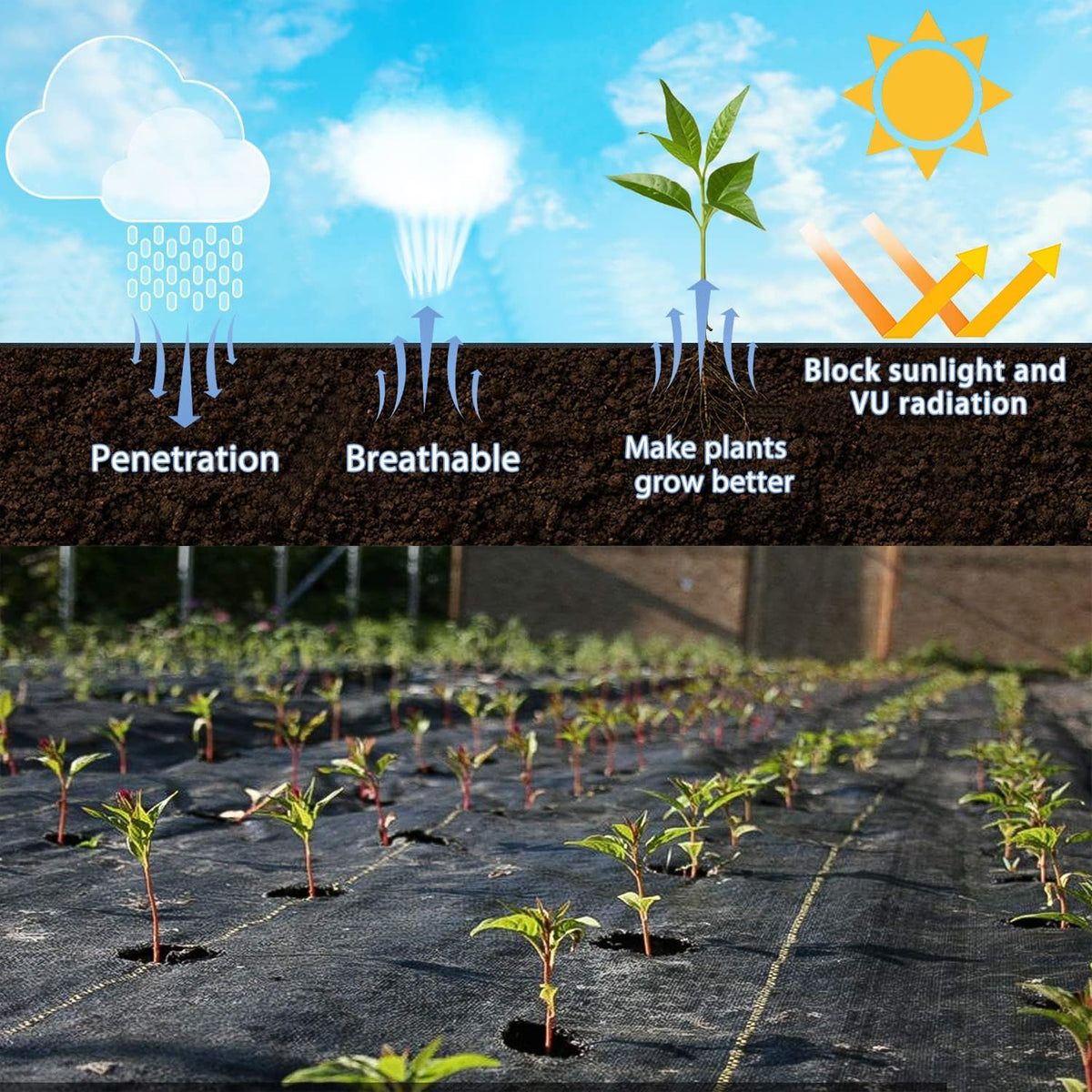 Sunocity permeable barrier under sun showing airflow and moisture passage for soil health.