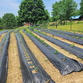 Sunocity UV-stabilized fabric resists sun damage while providing reliable ground cover.