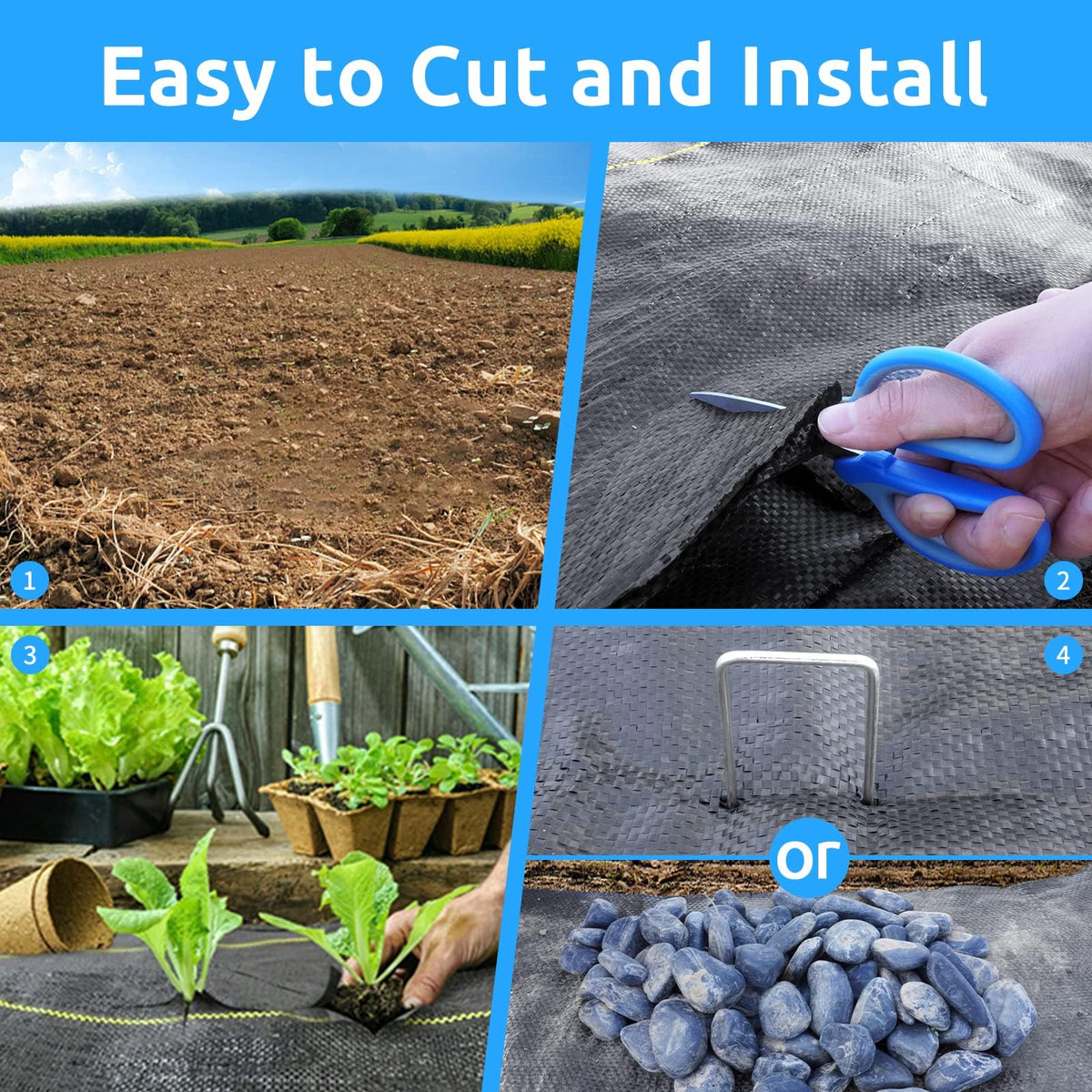 Sunocity multiple-size option image shows versatile rolls and sheets.