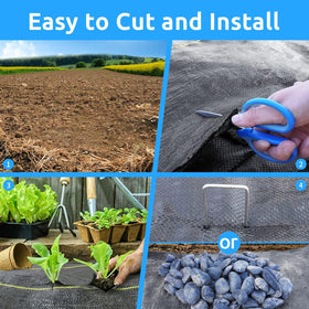 Sunocity multiple-size option image shows versatile rolls and sheets.