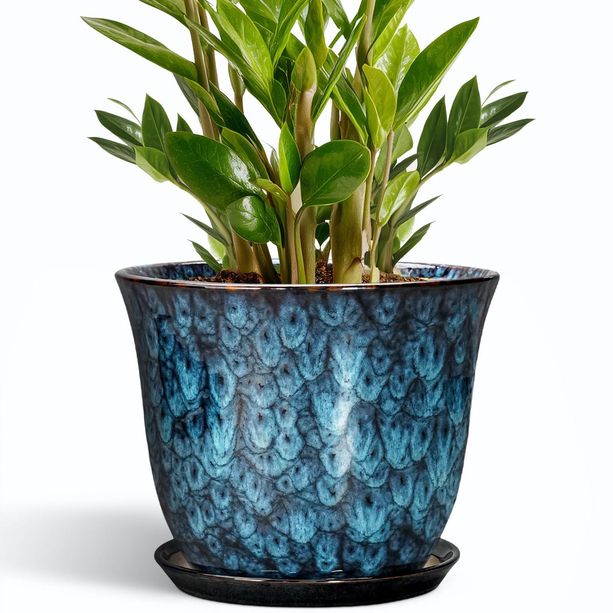 SUNPOTFOR blue ceramic pot viewed from above, ideal for showcasing plants in living spaces