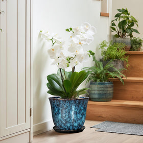 SUNPOTFOR planter on desk enhances home office decor