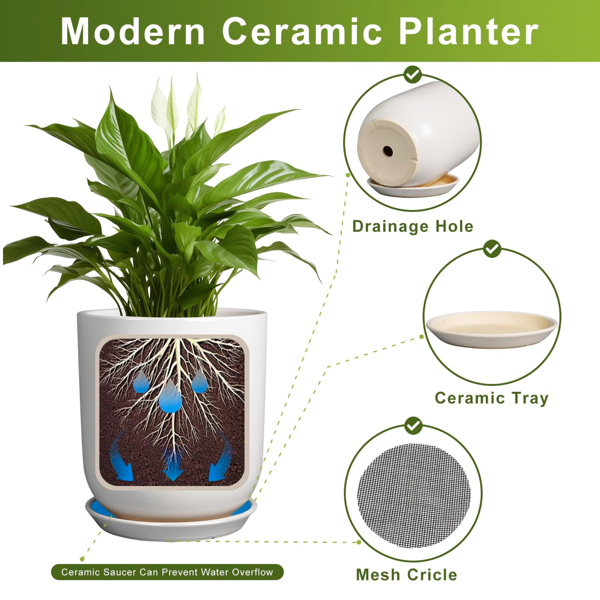 SUNPOTFOR cactus in white pot demonstrates compact, breathable ceramic for succulents.