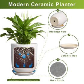 SUNPOTFOR cactus in white pot demonstrates compact, breathable ceramic for succulents.