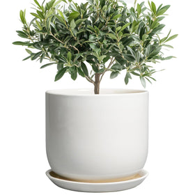 SUNPOTFOR ceramic plant pot front view for stylish indoor decor.