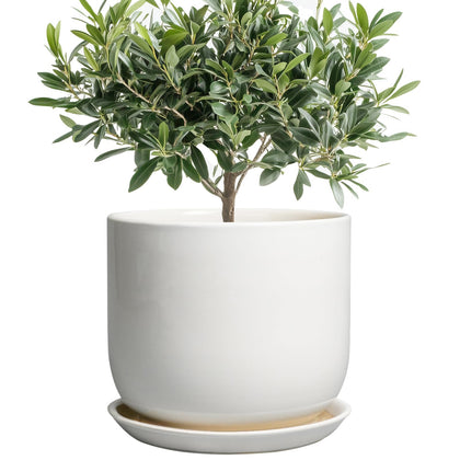 SUNPOTFOR ceramic plant pot front view for stylish indoor decor.