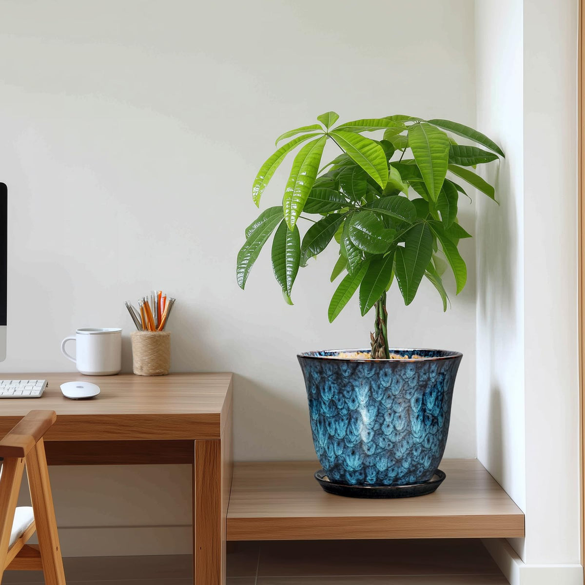SUNPOTFOR gift-friendly planter perfect for plant lovers