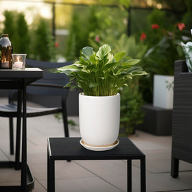 SUNPOTFOR white ceramic planter with saucer prevents leaks and keeps surfaces clean.