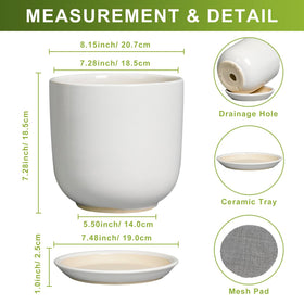 SUNPOTFOR white ceramic pot with saucer kit for mess-free watering.
