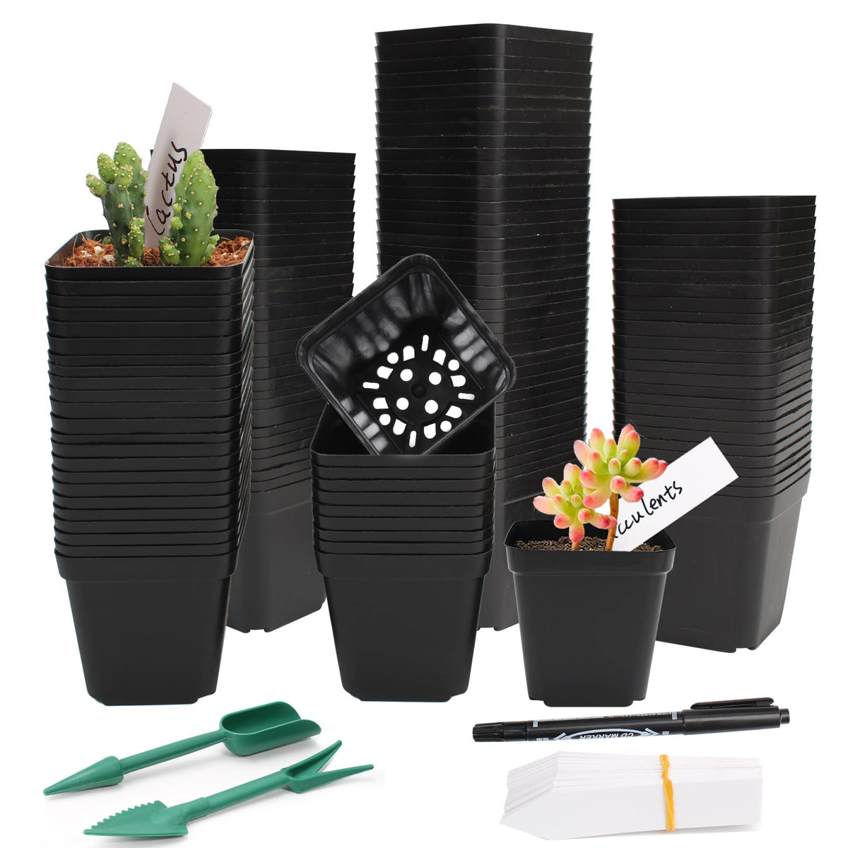 SUNPRO 100-pcs square nursery pots for compact seed starting and stacking