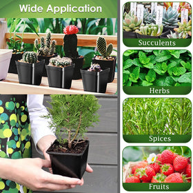 SUNPRO stackable square seed pots save space on benches