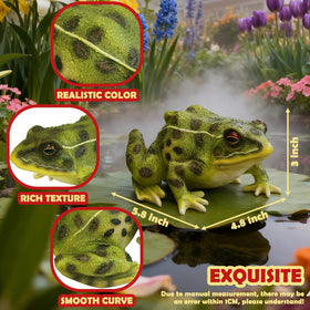Sunthus frog statue dimensions 4.7w x 5.7d x 3h for compact placement.