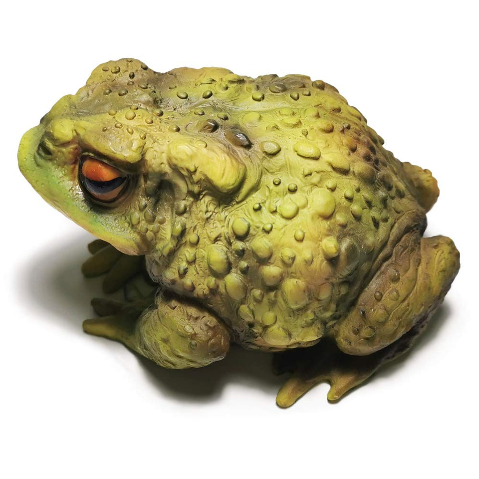 Sunthus frog sculpture with realistic eyes adds lifelike garden charm.