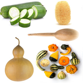 Sunutri Gourd Birdhouse Shell in packaging, showcasing a sturdy exterior for birdhouse projects